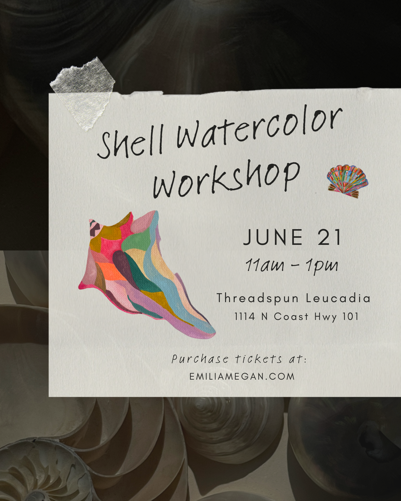 shellworkshop.png