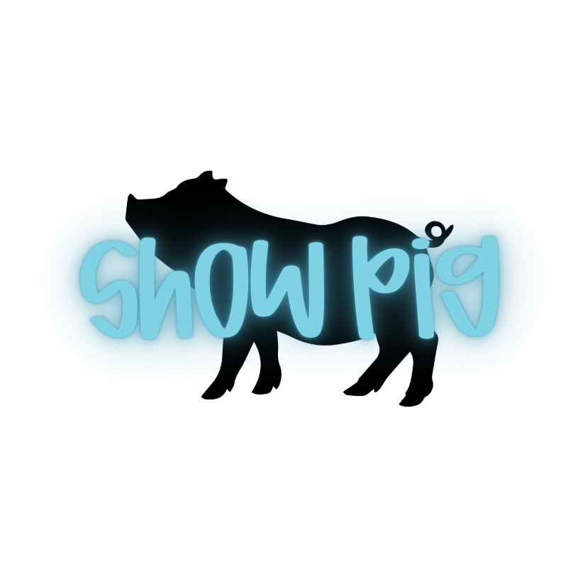Show Pig