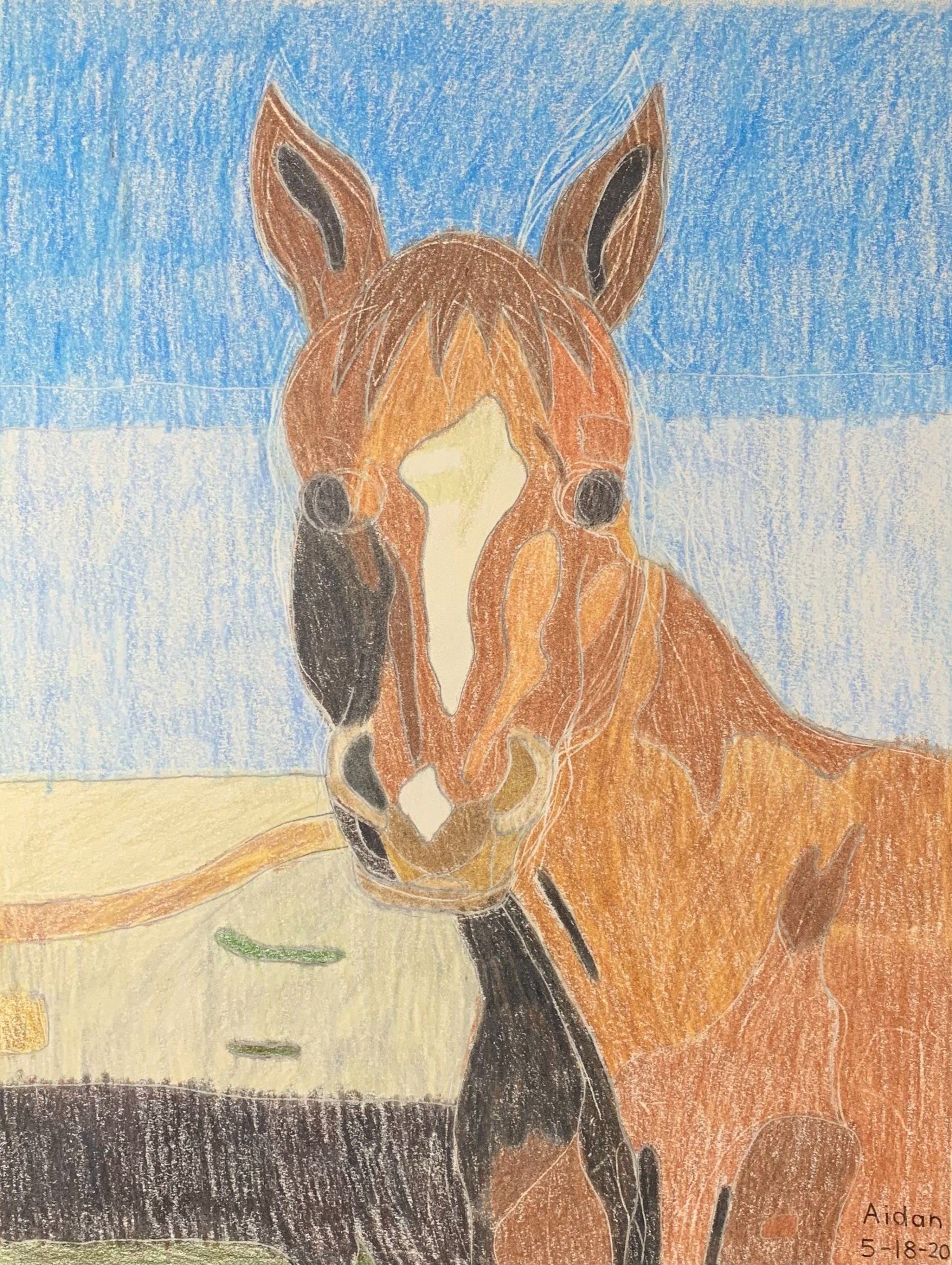 Horse