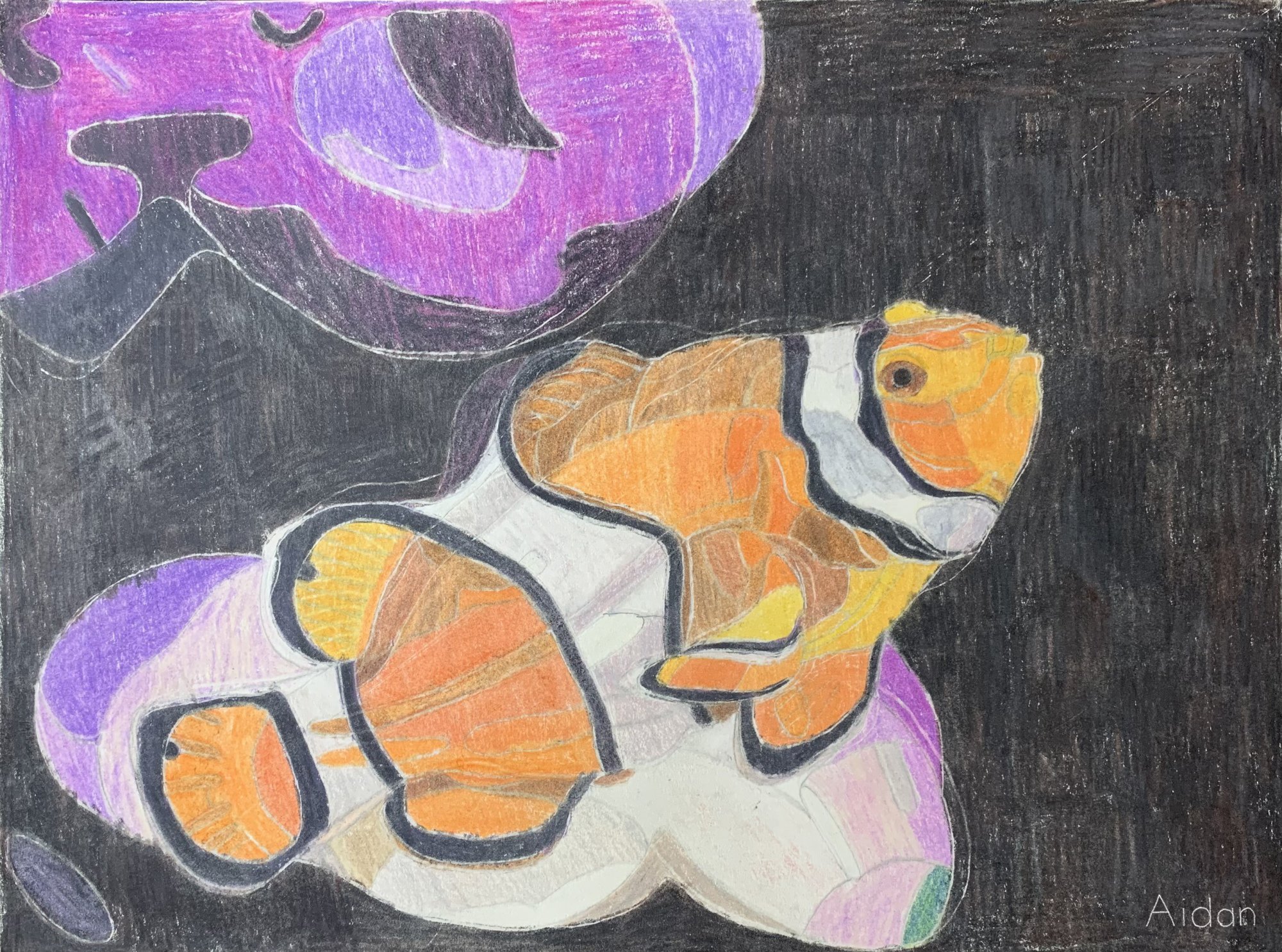 Fish