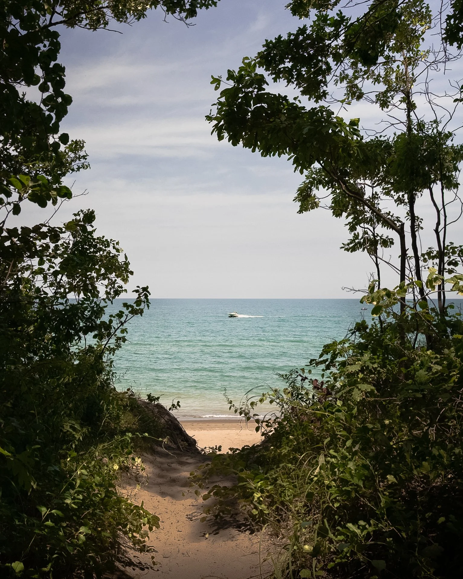 Great Lake views in Indiana Dunes National Park