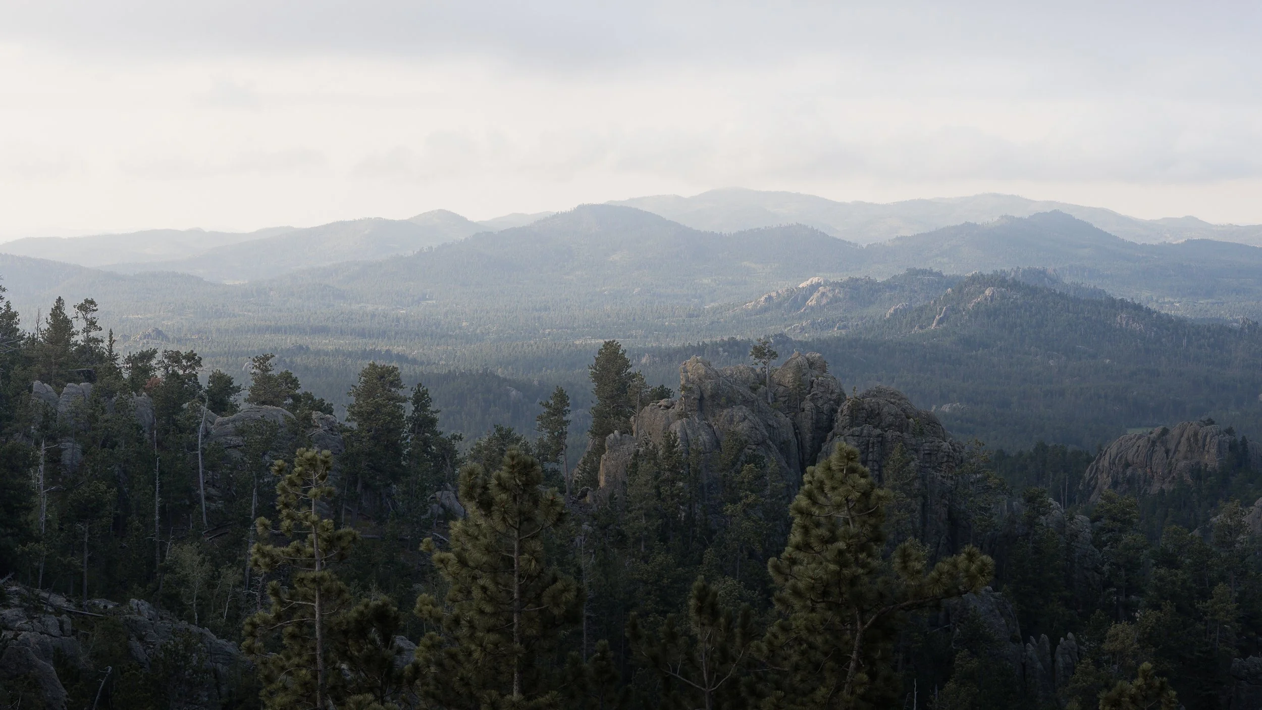 Morning haze over Custer State Park