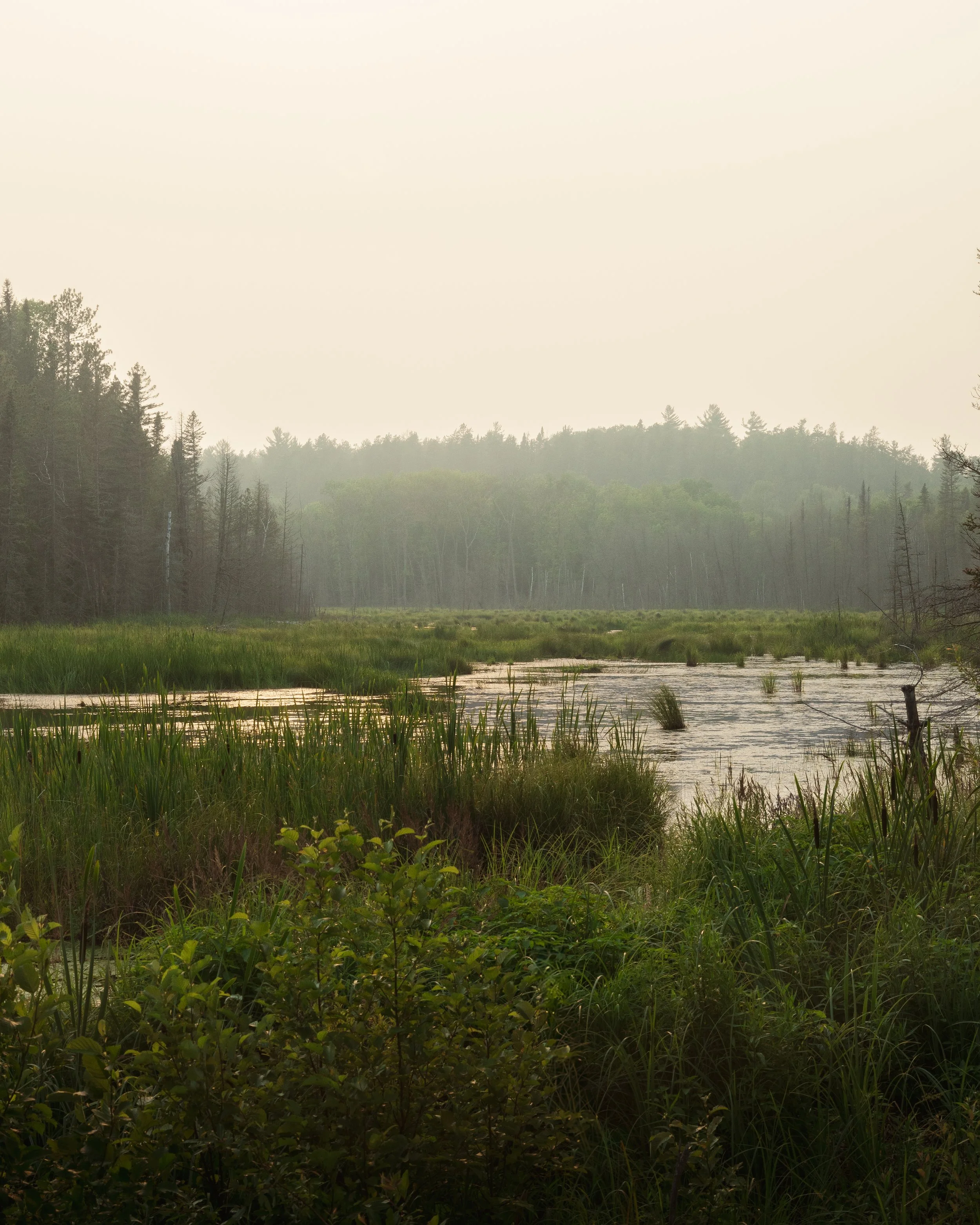 Misty morning in Voyageurs National Park