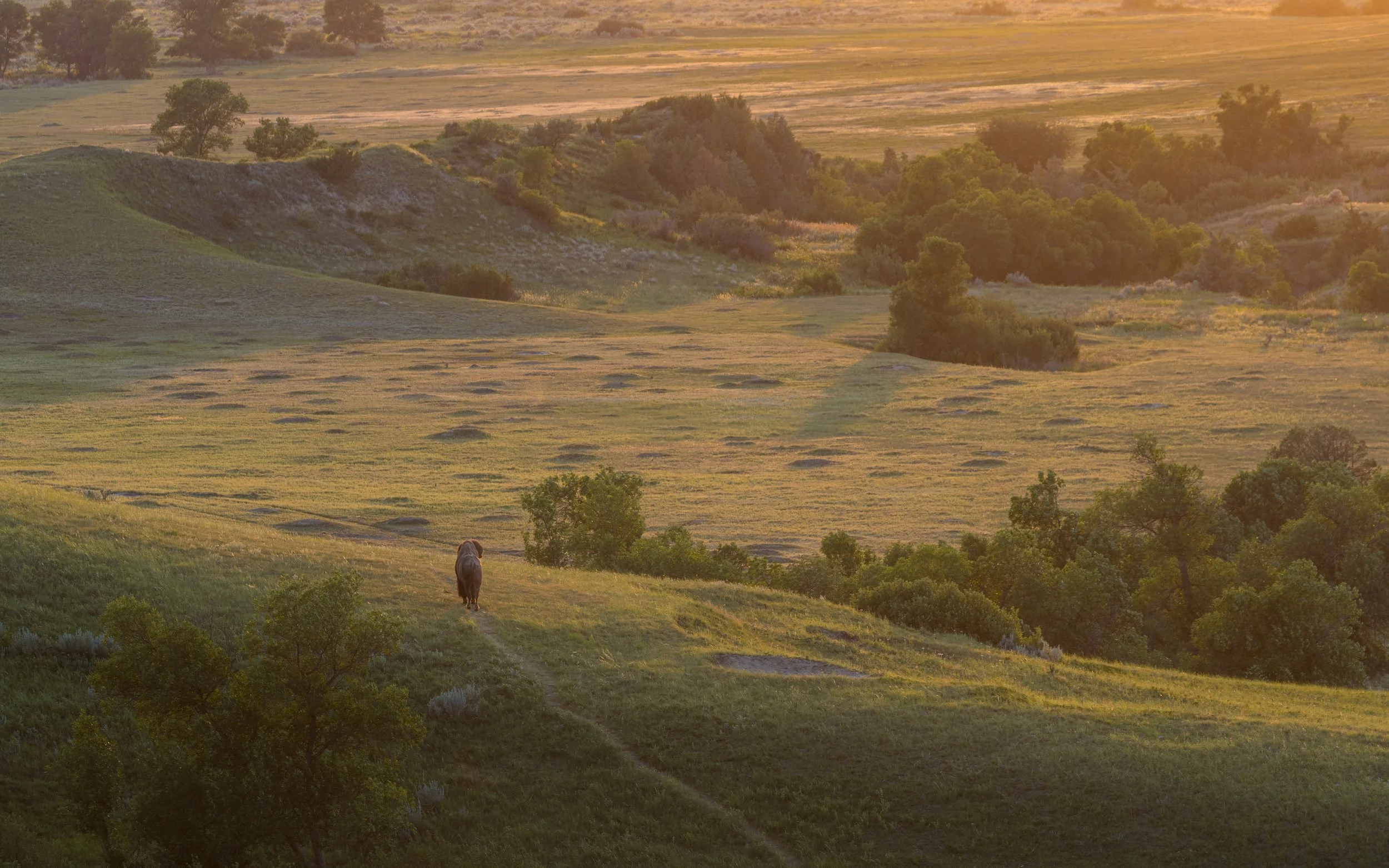 Sunset at Theodore Roosevelt National Park