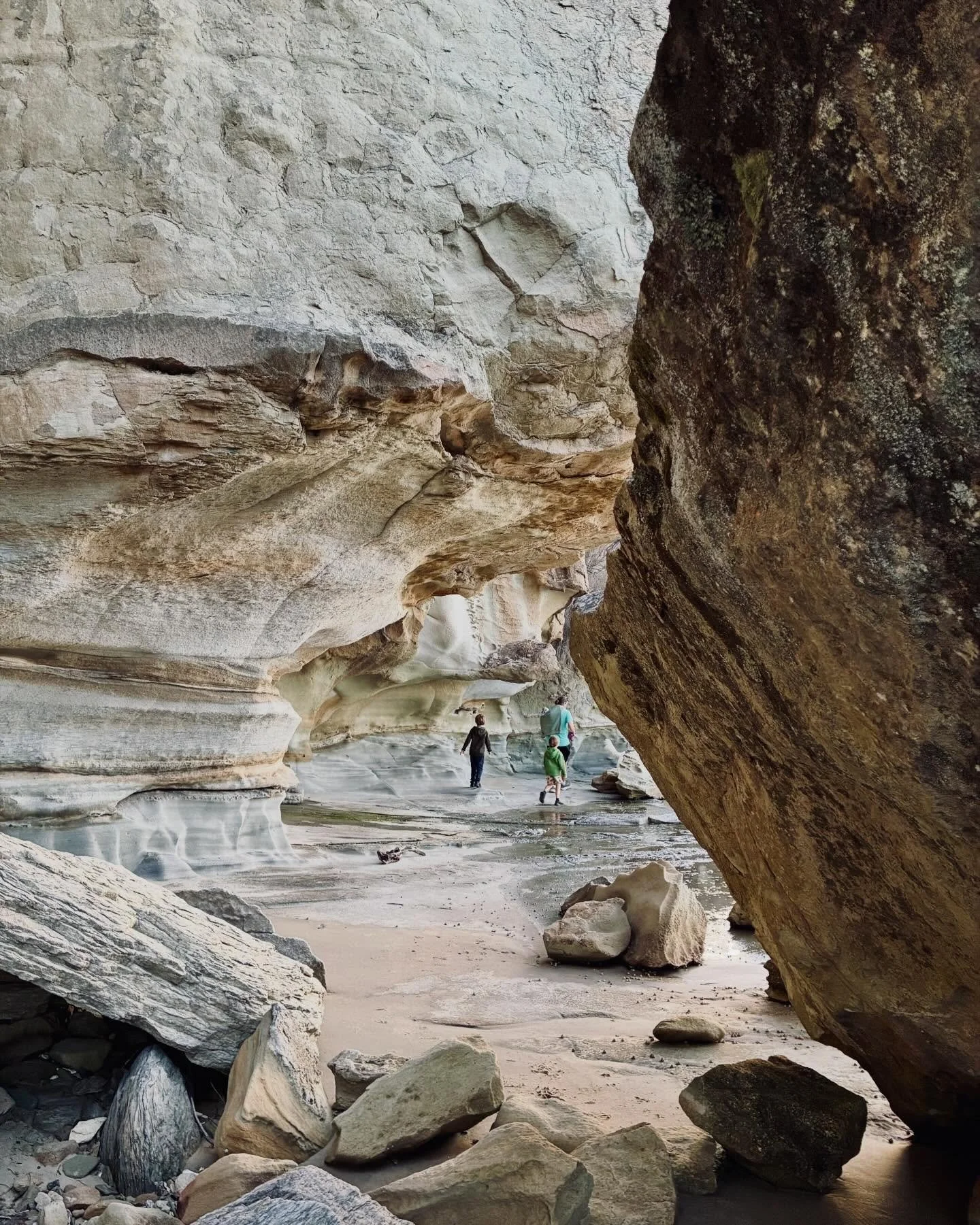 Exploring the beautiful rock formations of North Bruny. A special, special place. ✨

#brunylikealocal #brunyisland #discovertasman&igrave;a #adventure #northbruny