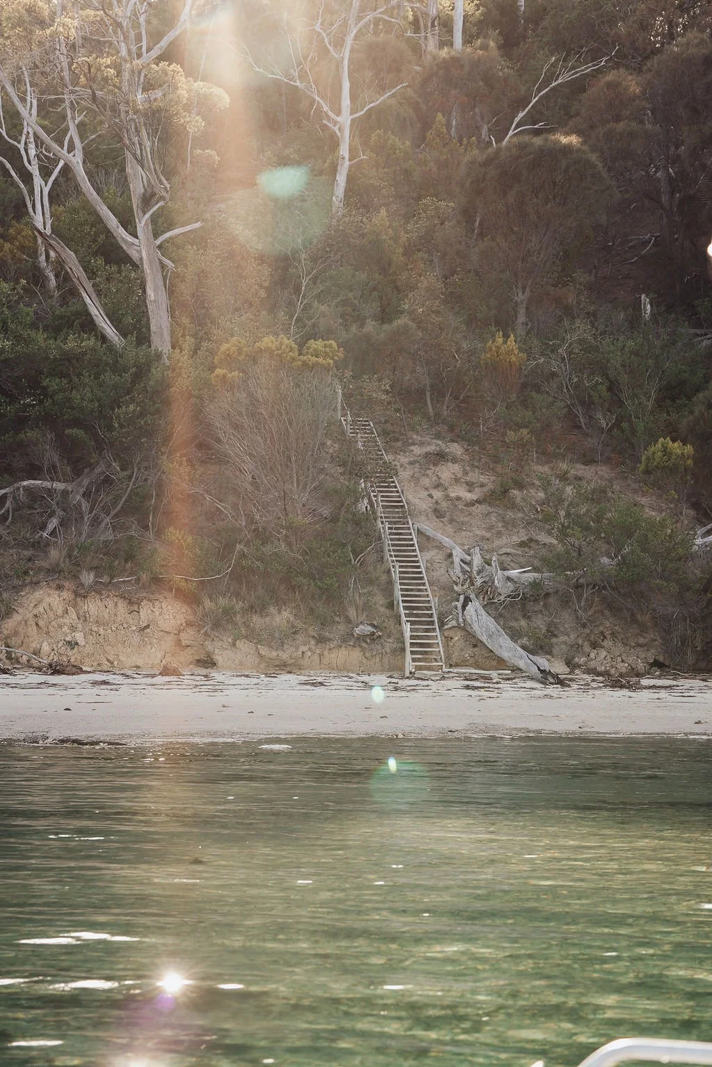 A beach with a staircase leading up a hillside covered with trees. The water is in the foreground, and sunlight is shining through the trees creating lens flare.