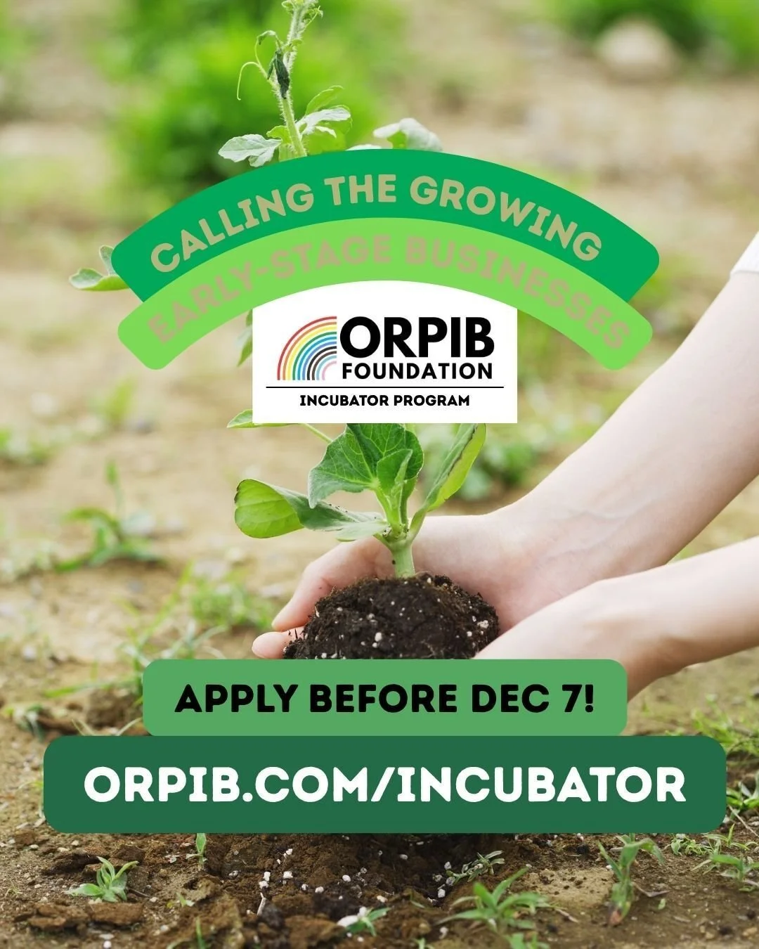 The ORPIB Foundation's 2026 Incubator program is looking for amazing humans who have a business idea that's bubbling with potential OR an existing business ready to grow. You feel deeply connected to our LGBTQIA2S+ community and want to help it thriv