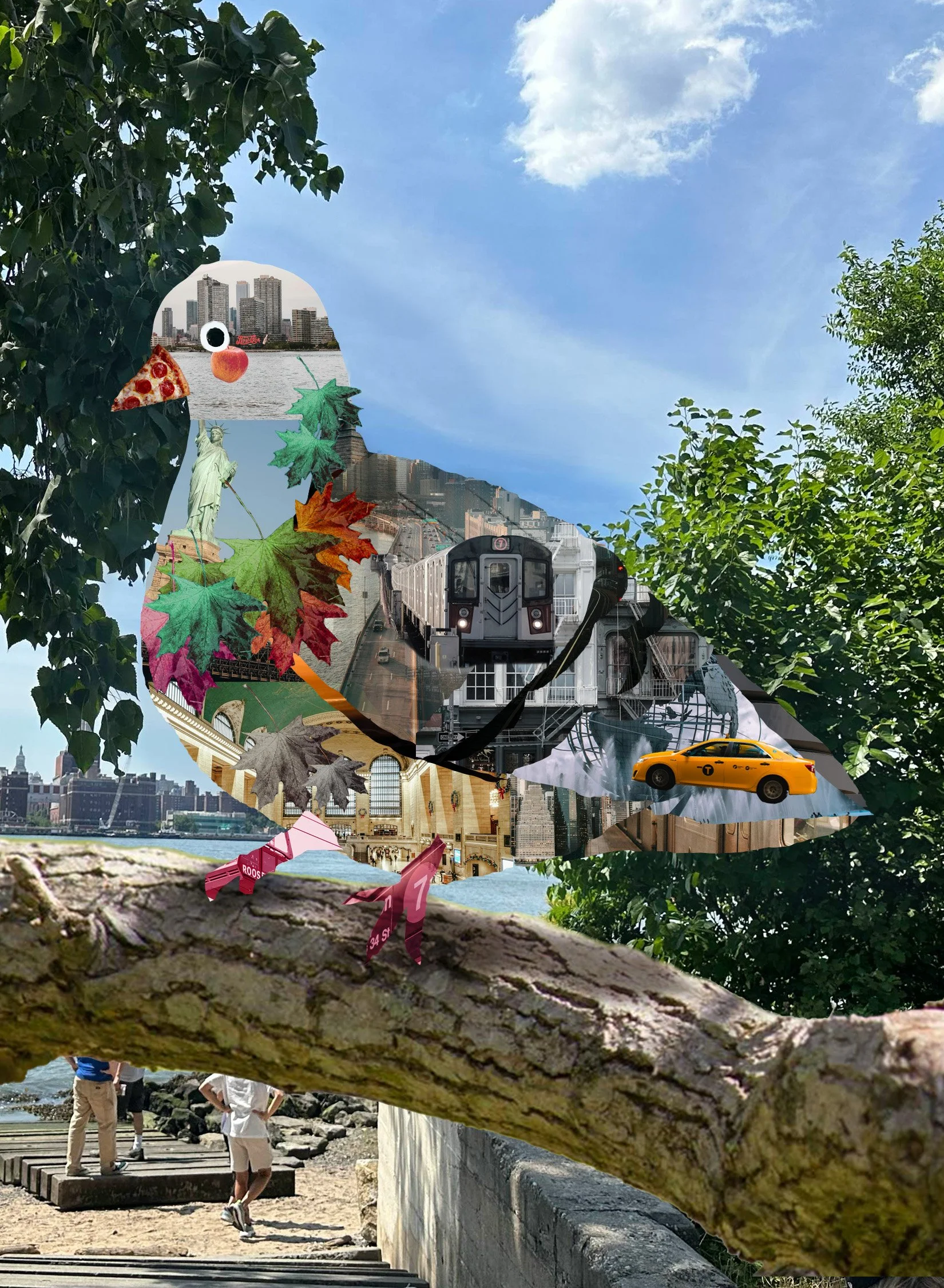 Kira_Lee_New_York_Pigeon.jpg