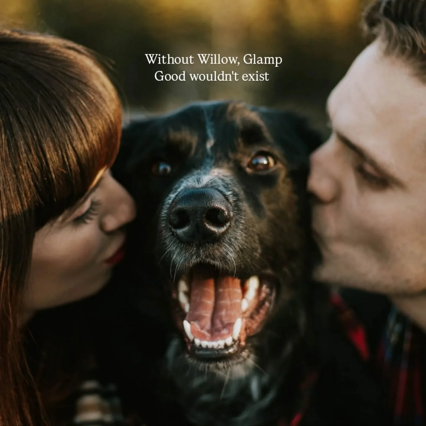 ❤️&zwj;🩹🐾We lost our boy last week. An indescribably painful experience that was completely unexpected, tragic and rapid. We only had a few hours to say goodbye. It's been devastating for us both, and he left huge paw shaped holes in our hearts.

?