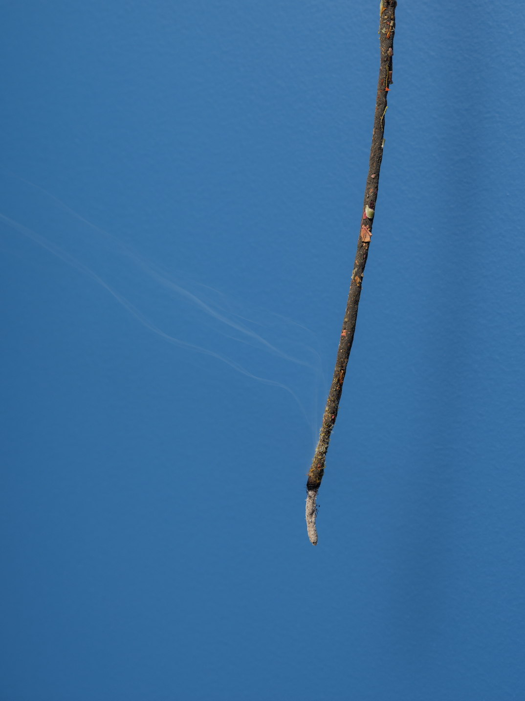 Screenshot 2026-01-03 at 11.19.18 AM.png