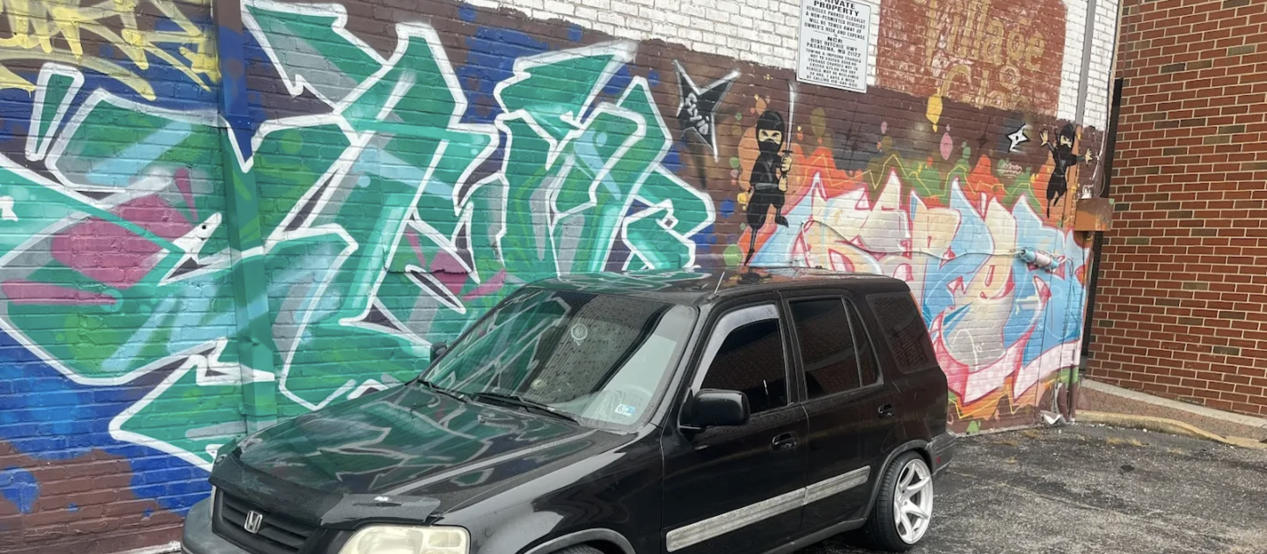 window tint good reviews near me