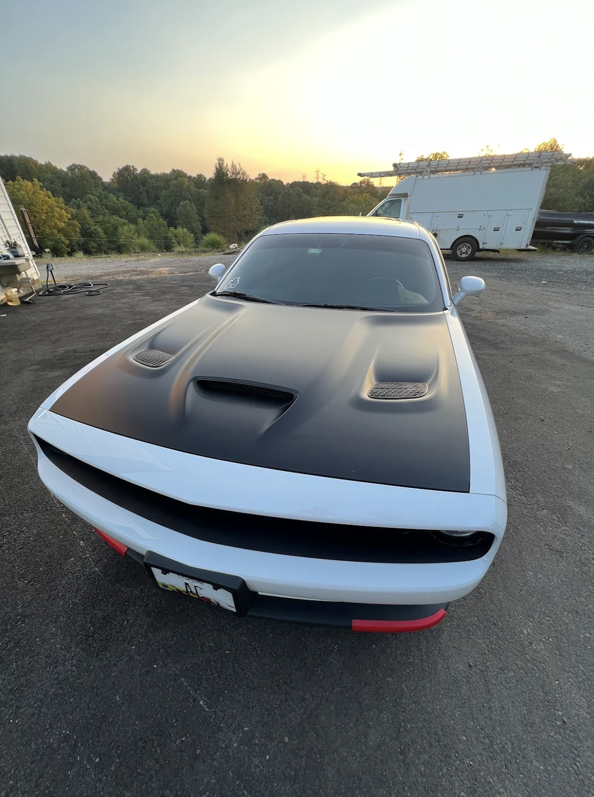 visual wraps reviews