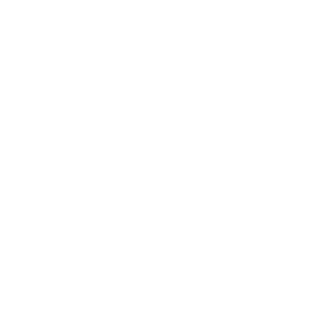 headlight taillight window tinting service windshield