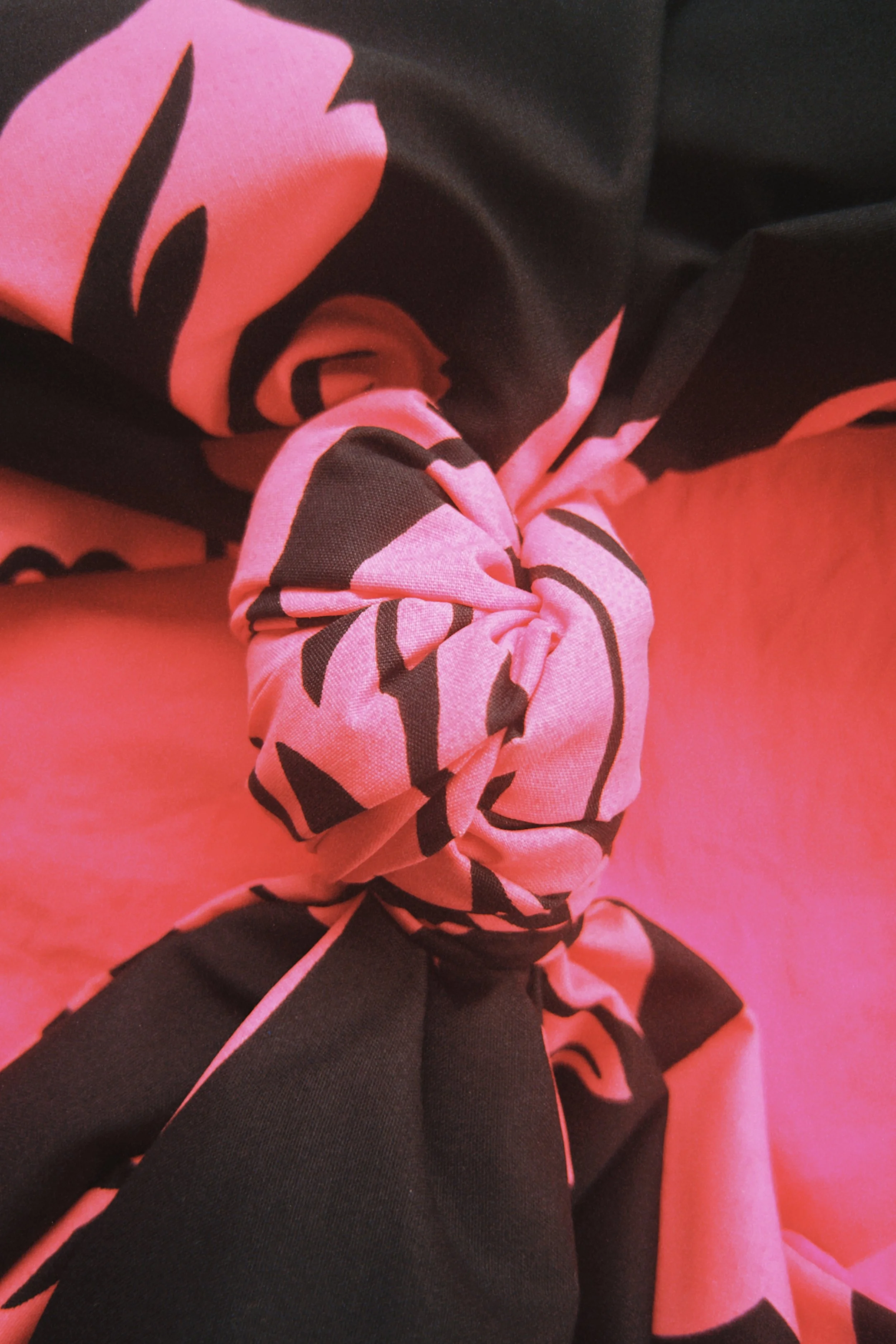 fqs 2026-01-09 123424.361.jpg