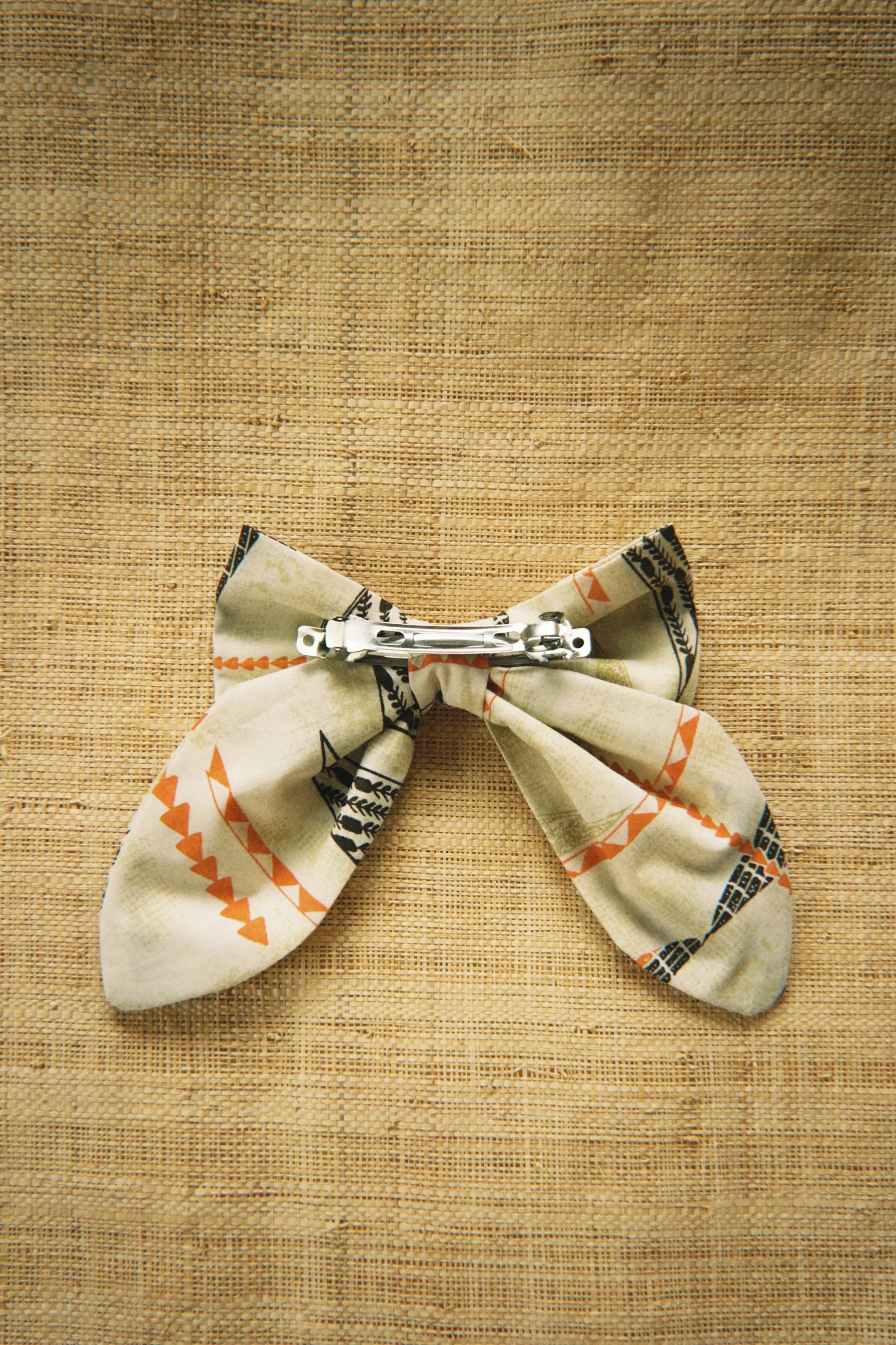 fqs 2026-03-29 110907D12C40FCFA9F.JPG