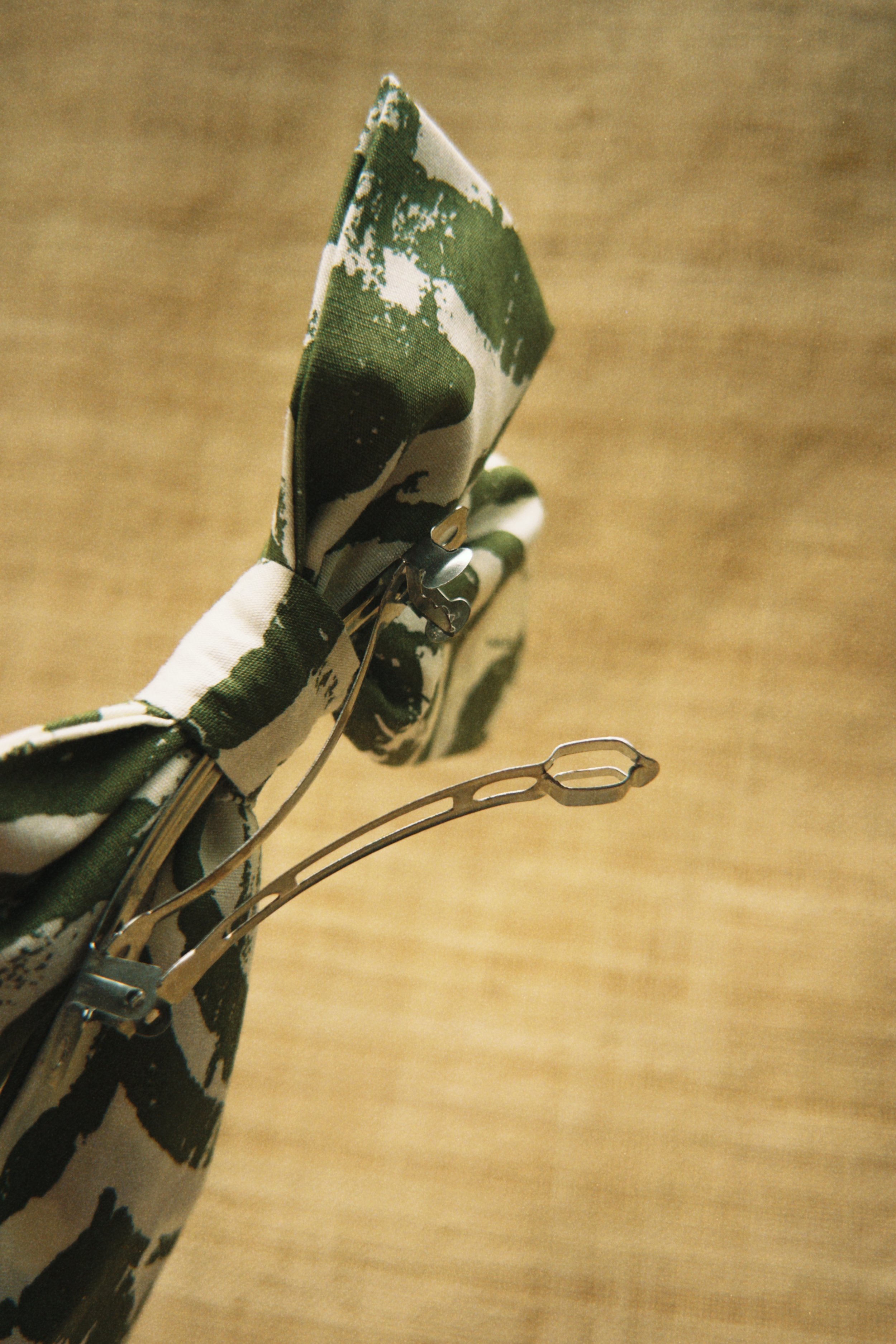 fqs 2026-03-29 110827C397094E34B2.JPG