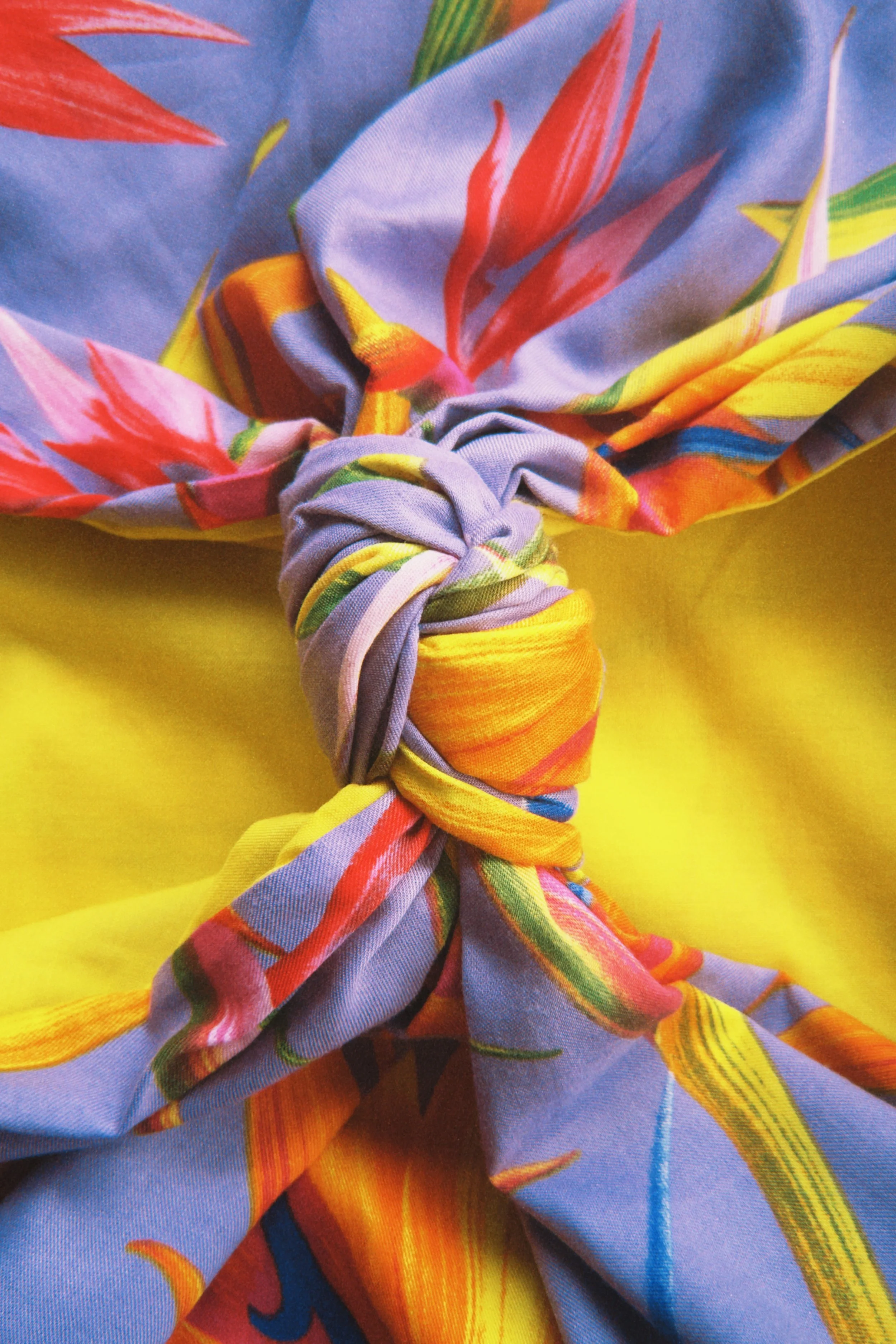 fqs 2026-01-09 123241.677.JPG