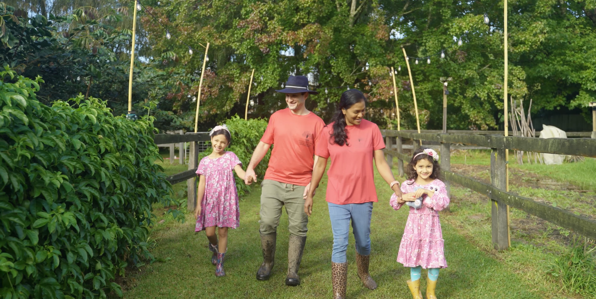 Weeping Willow Farm