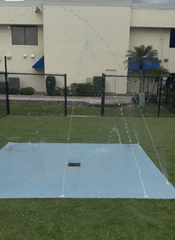 AFTER: Animal Hospital Splash Pads