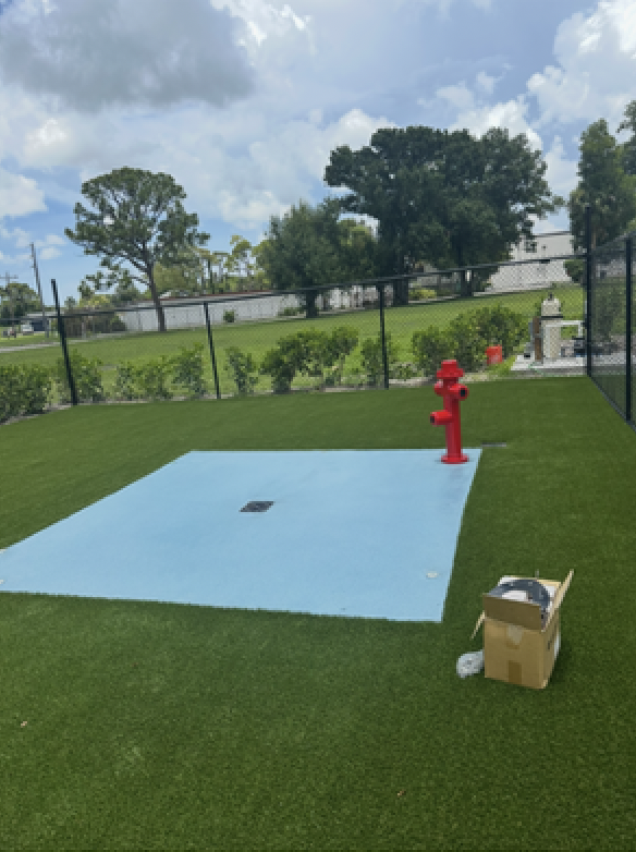 AFTER: Animal Hospital Splash Pads