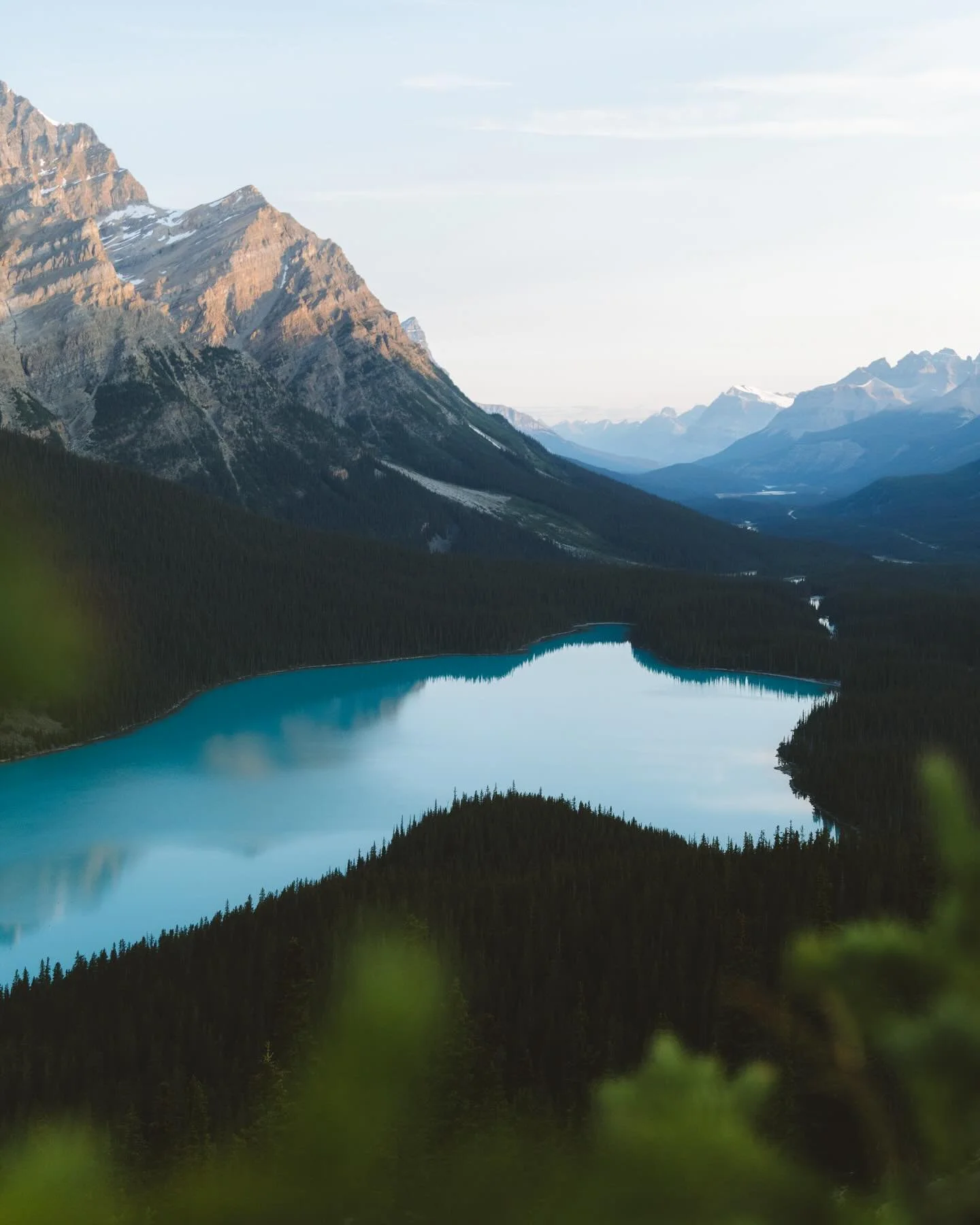 From a morning in the mountains many moons ago 🌙