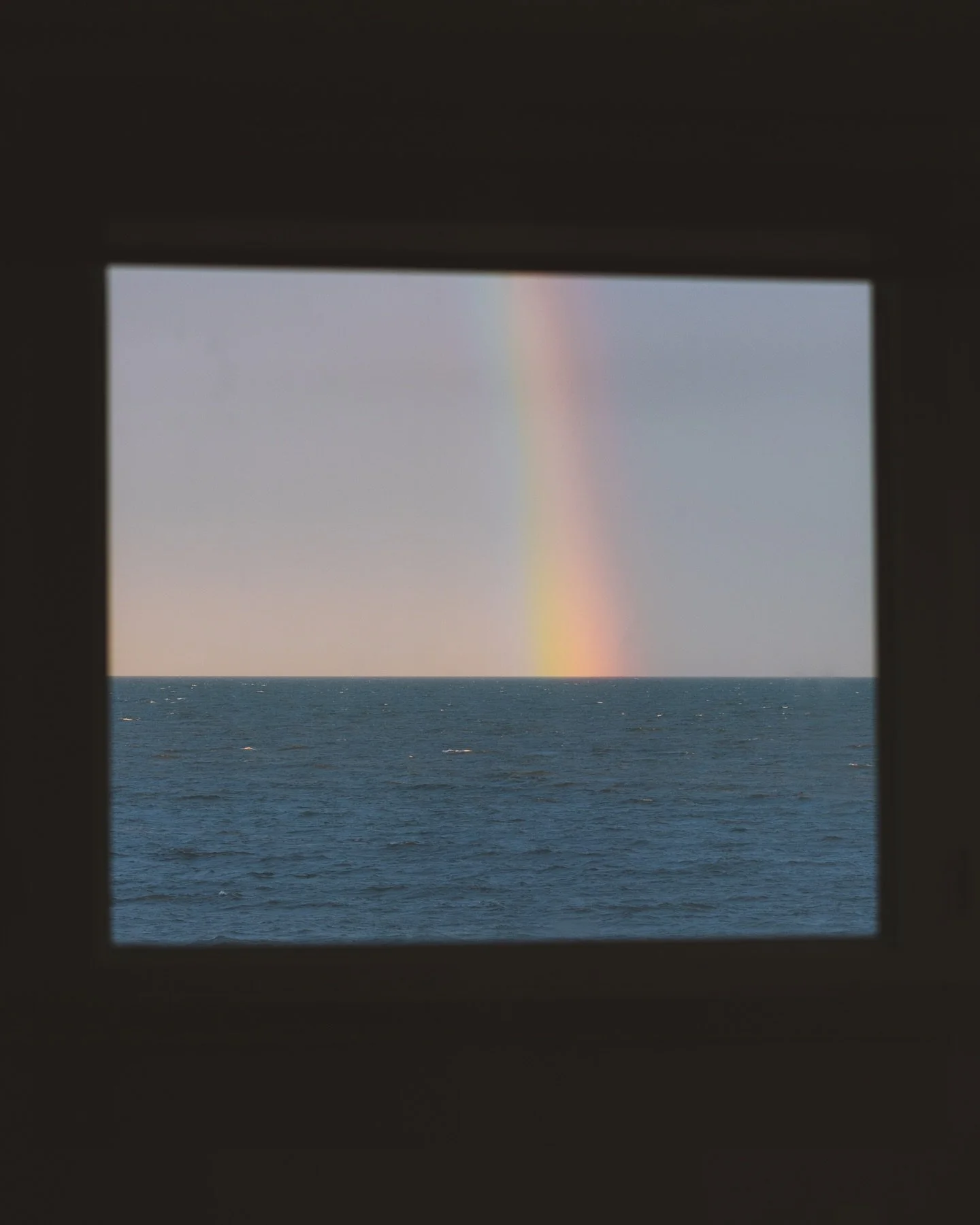 Moments from the southernmost point of mainland Canada*

*Point Pelee is on the traditional territory of the Ojibwa, the Odessa and the Potawatomi First Nations.