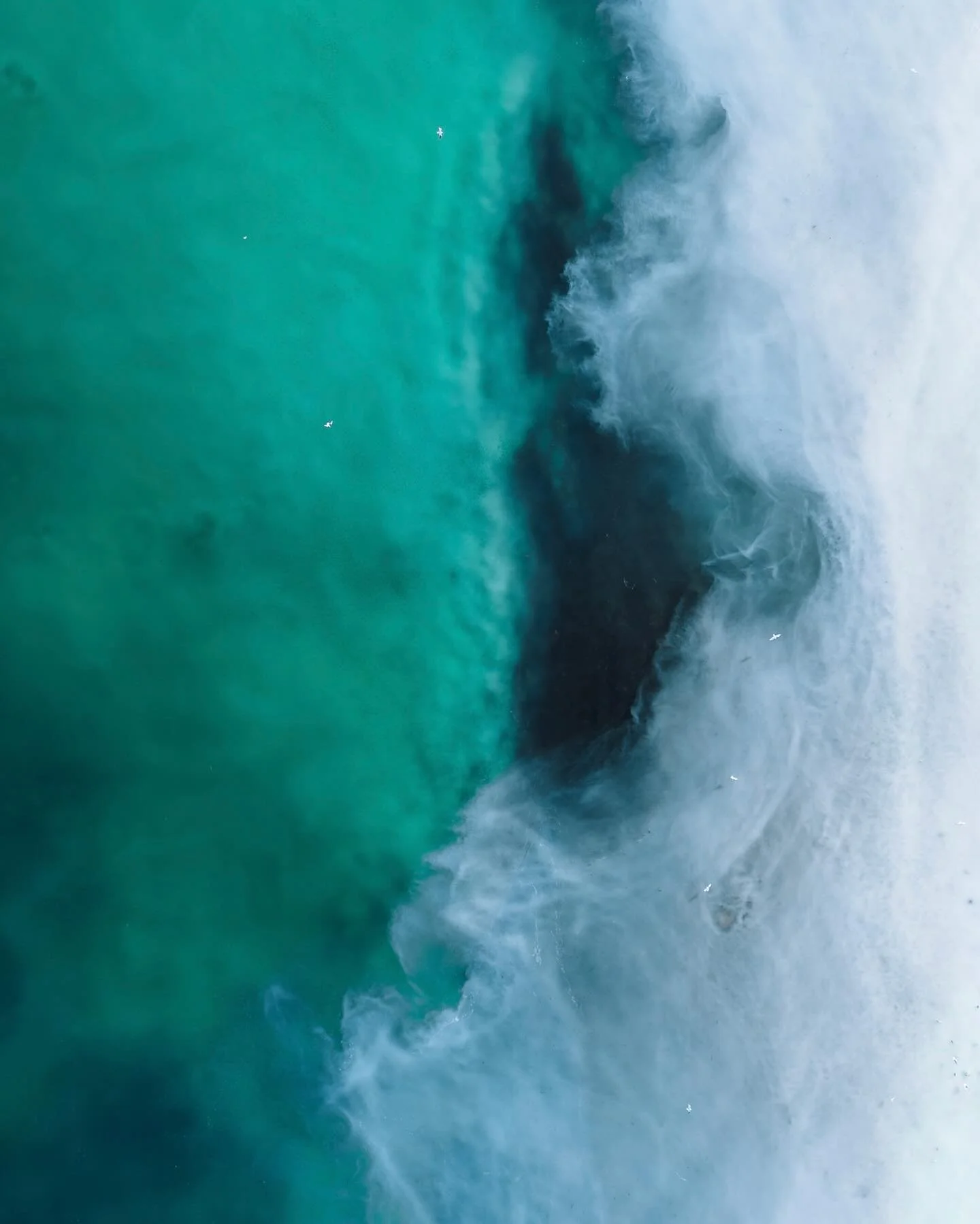 Water is LIFE 💙 

#worldwaterday #herringspawn #BIGlittlefish #comoxvalley #denmanisland #waterislife #nature #aerial #photography #dji #canada