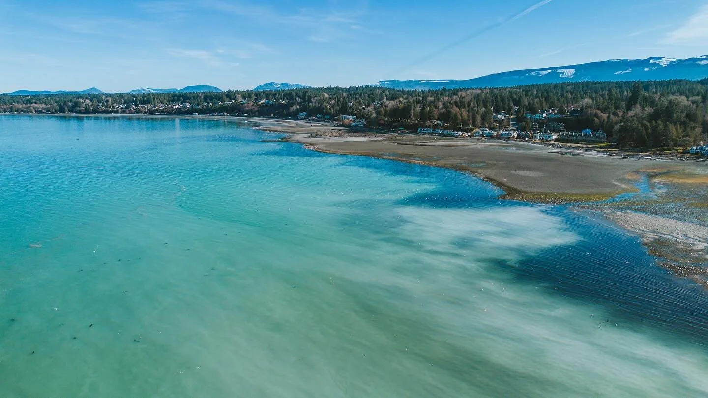 As winter turns to spring, the Pacific herring spawn along the coast lines of Vancouver Island. Nature&rsquo;s bountiful ballet beneath the blue begins as silver shadows gather in the thousands painting the ocean colours of creation. Drawn by the abu