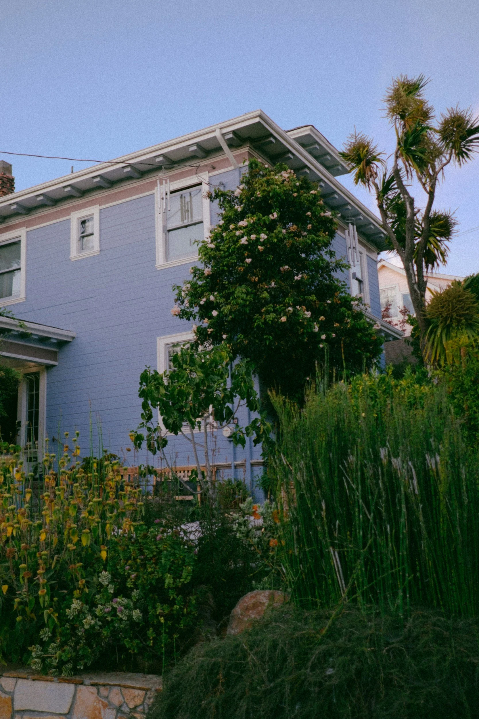 A blue duplex with a central entrance surrounded by greenery