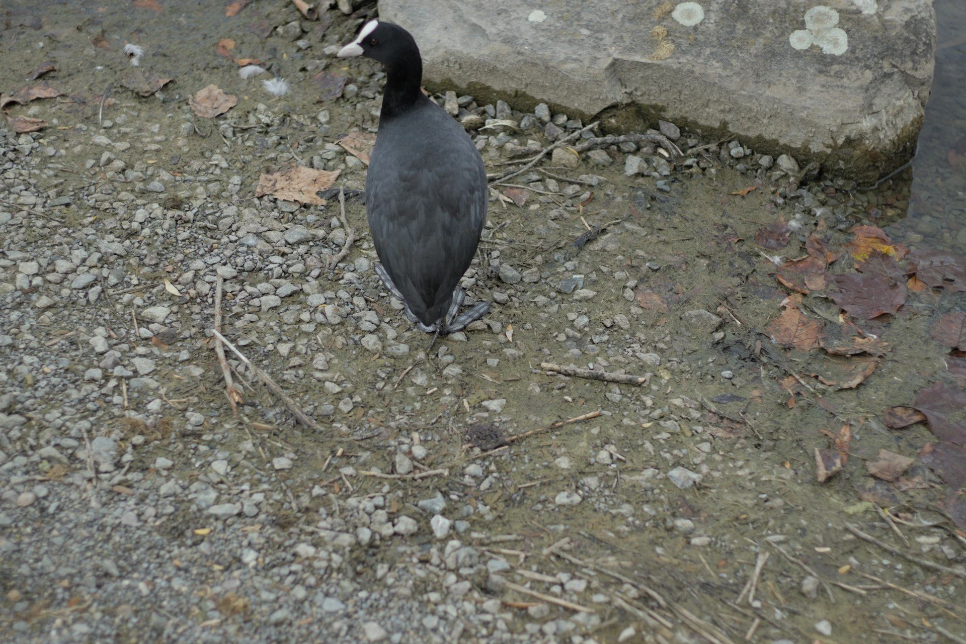 IMG_8897.jpg