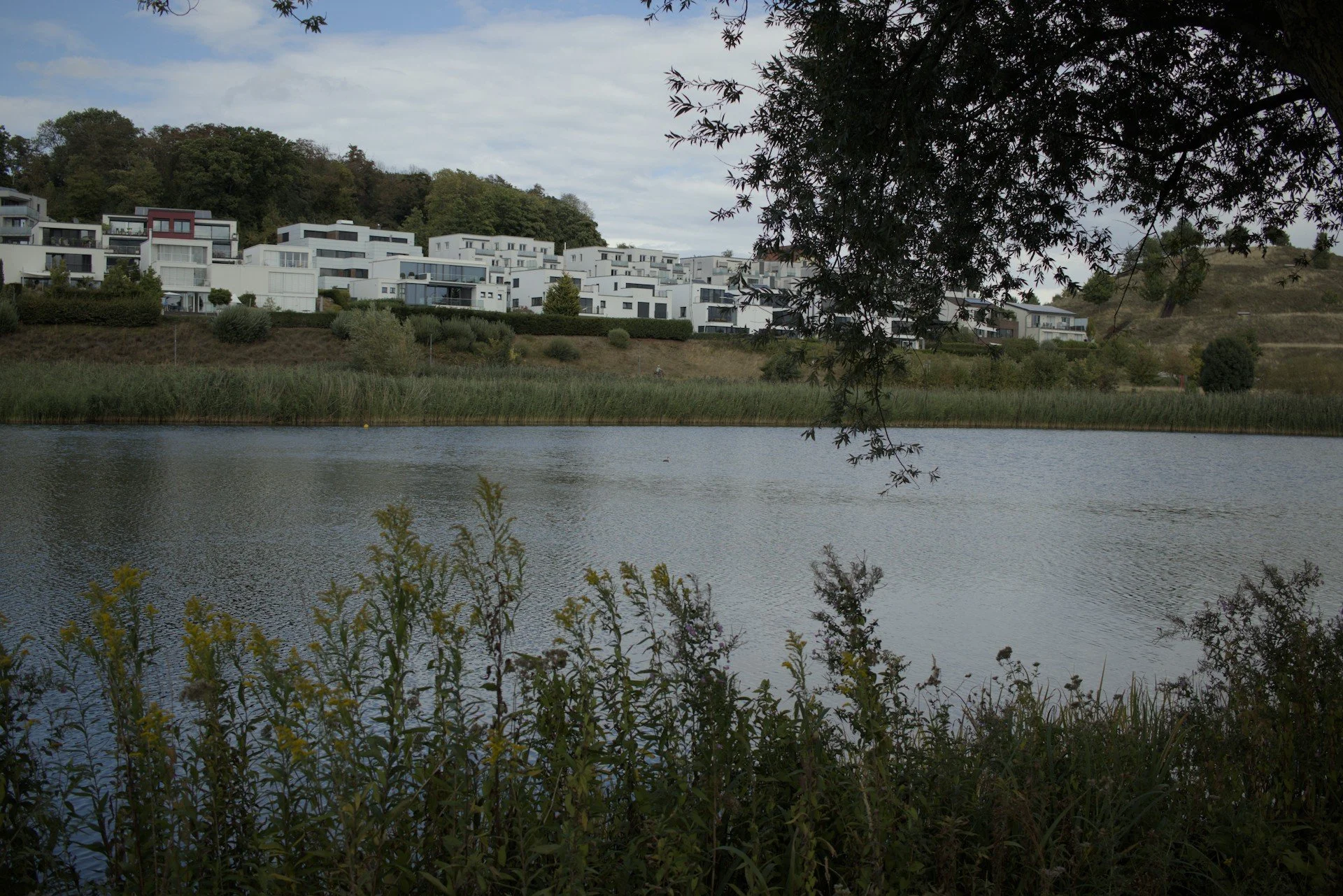 IMG_8924.jpg