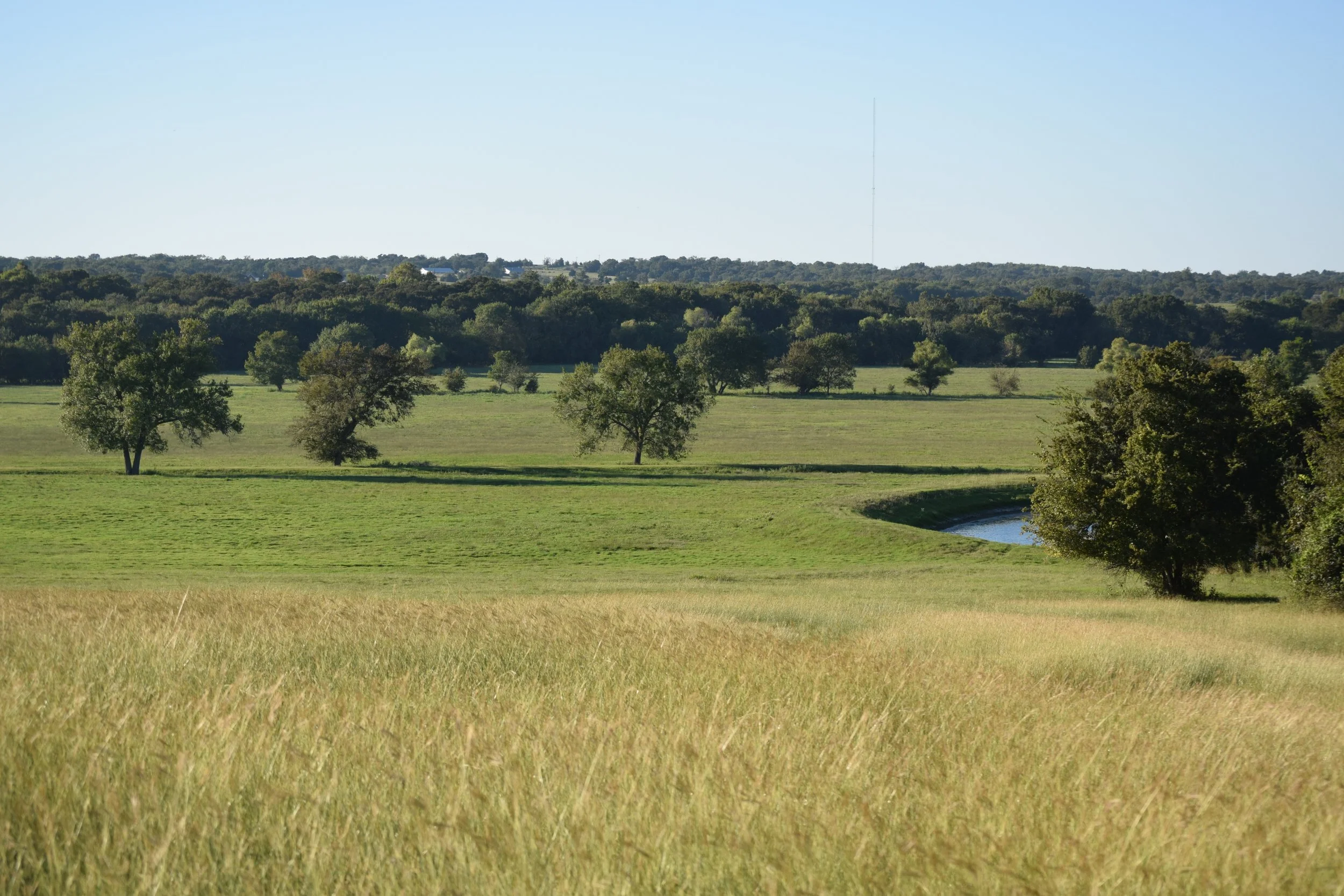 A grassy field with scattered trees and a small winding waterway, under a clear blue sky.