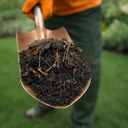 Amend Soil for Drainage and Plant Health