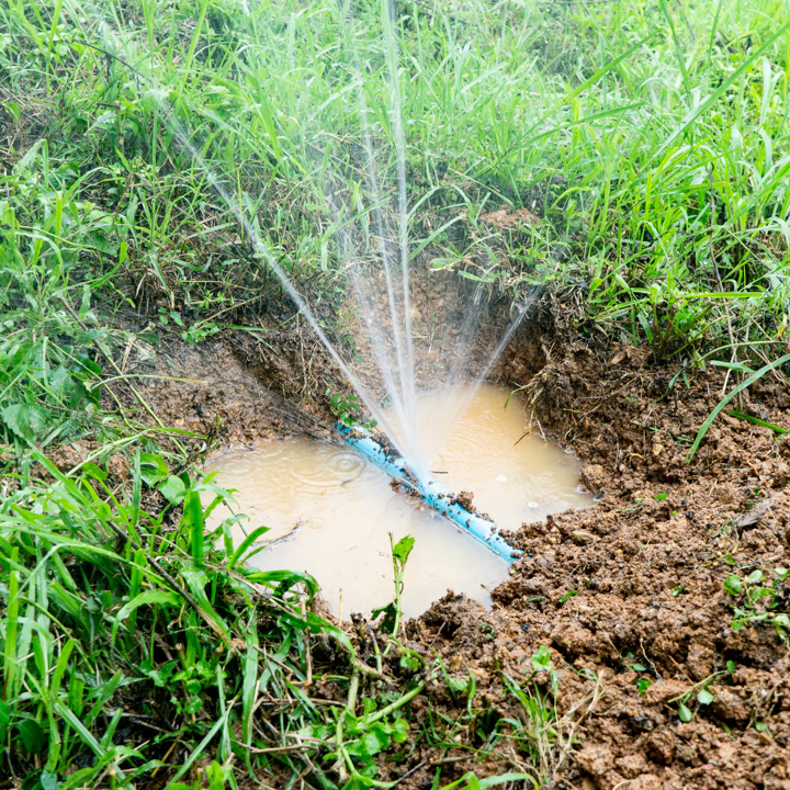 Broken sprinkler line