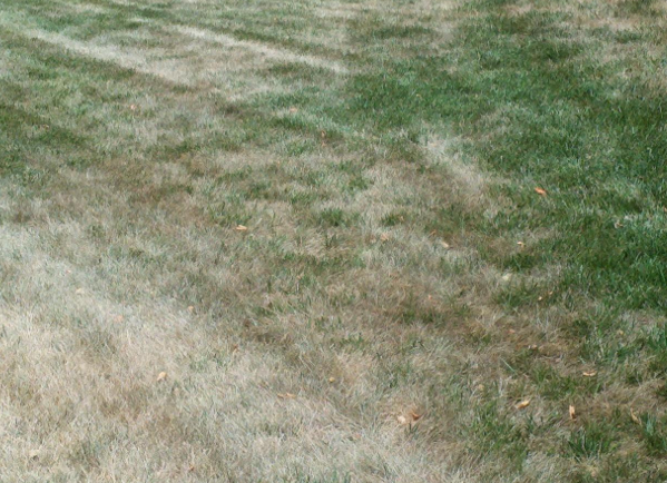 Avoid Cutting During Extreme Heat