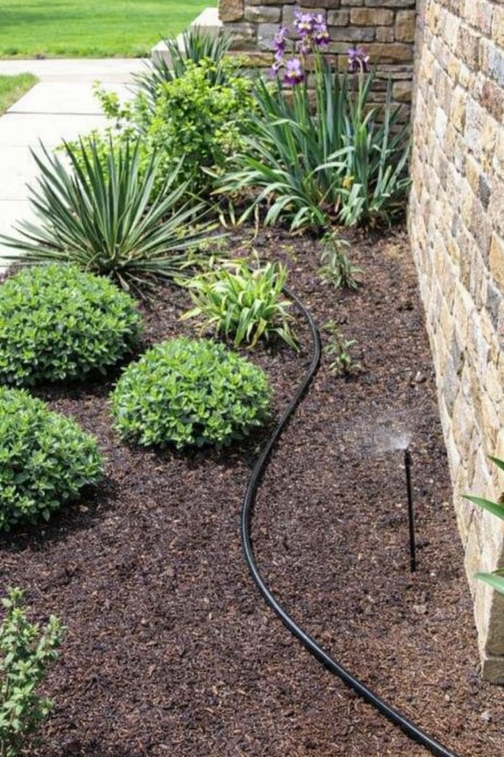 Drip Line Irrigation