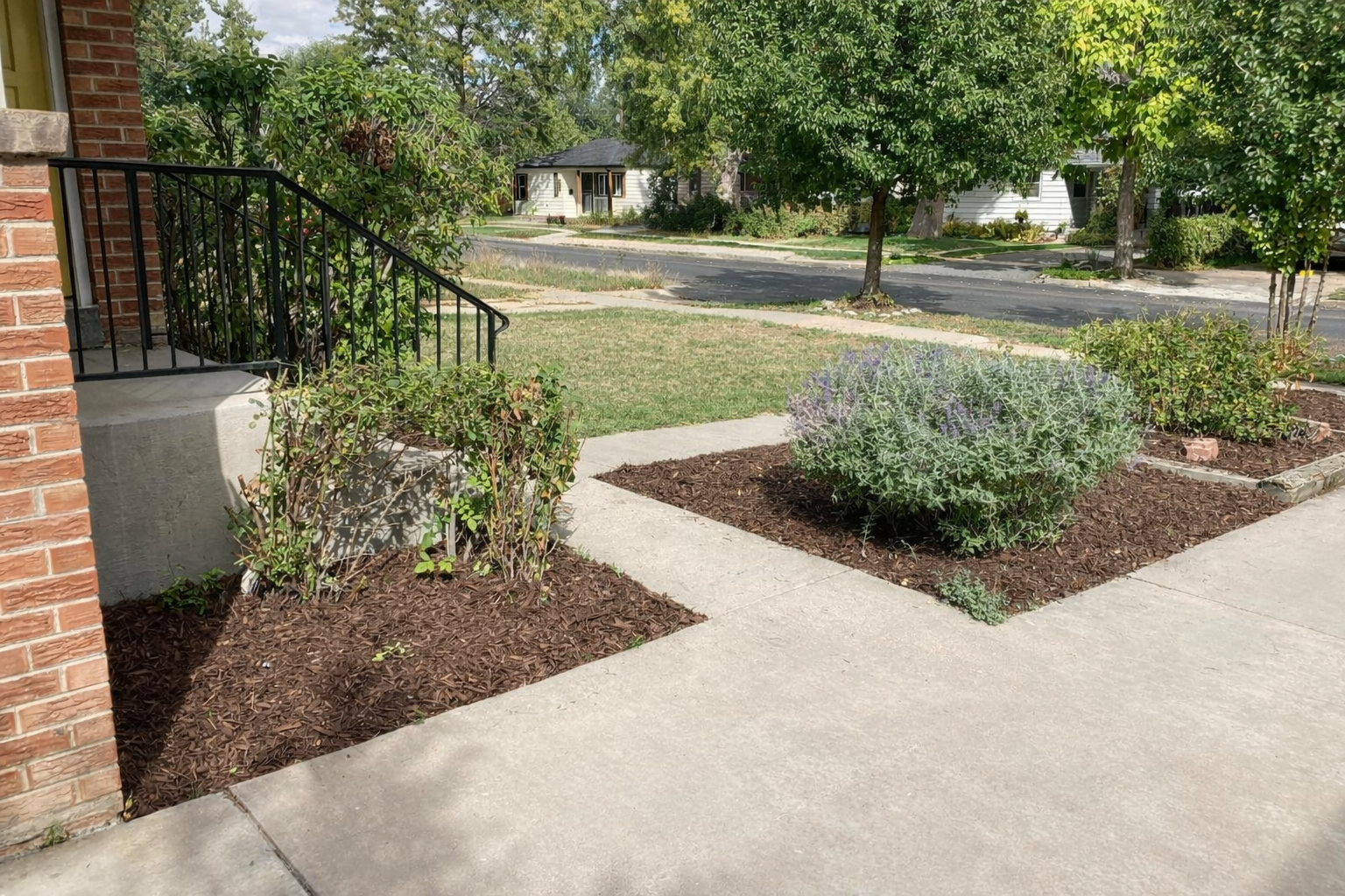 Landscaping Gray Street Denver CO