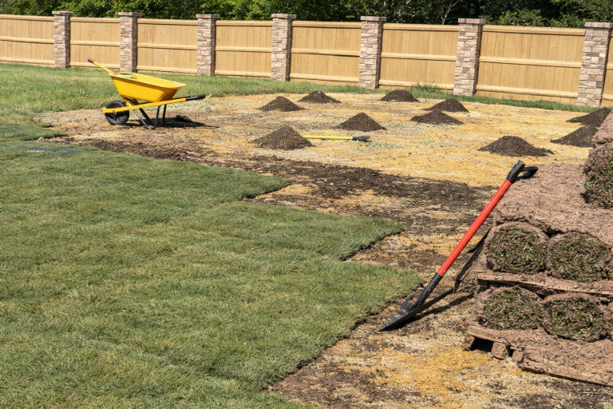 Soil Amenedment for Sod Install