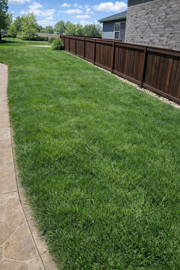 Side yard strip - low use