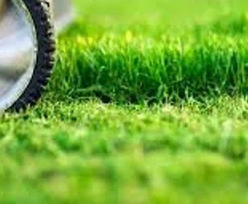 Raise Mowing Height to Reduce Stress