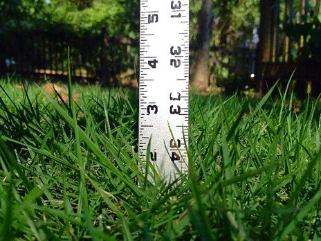 Close-up of a measurement ruler standing vertically on green grass with trees in the background.