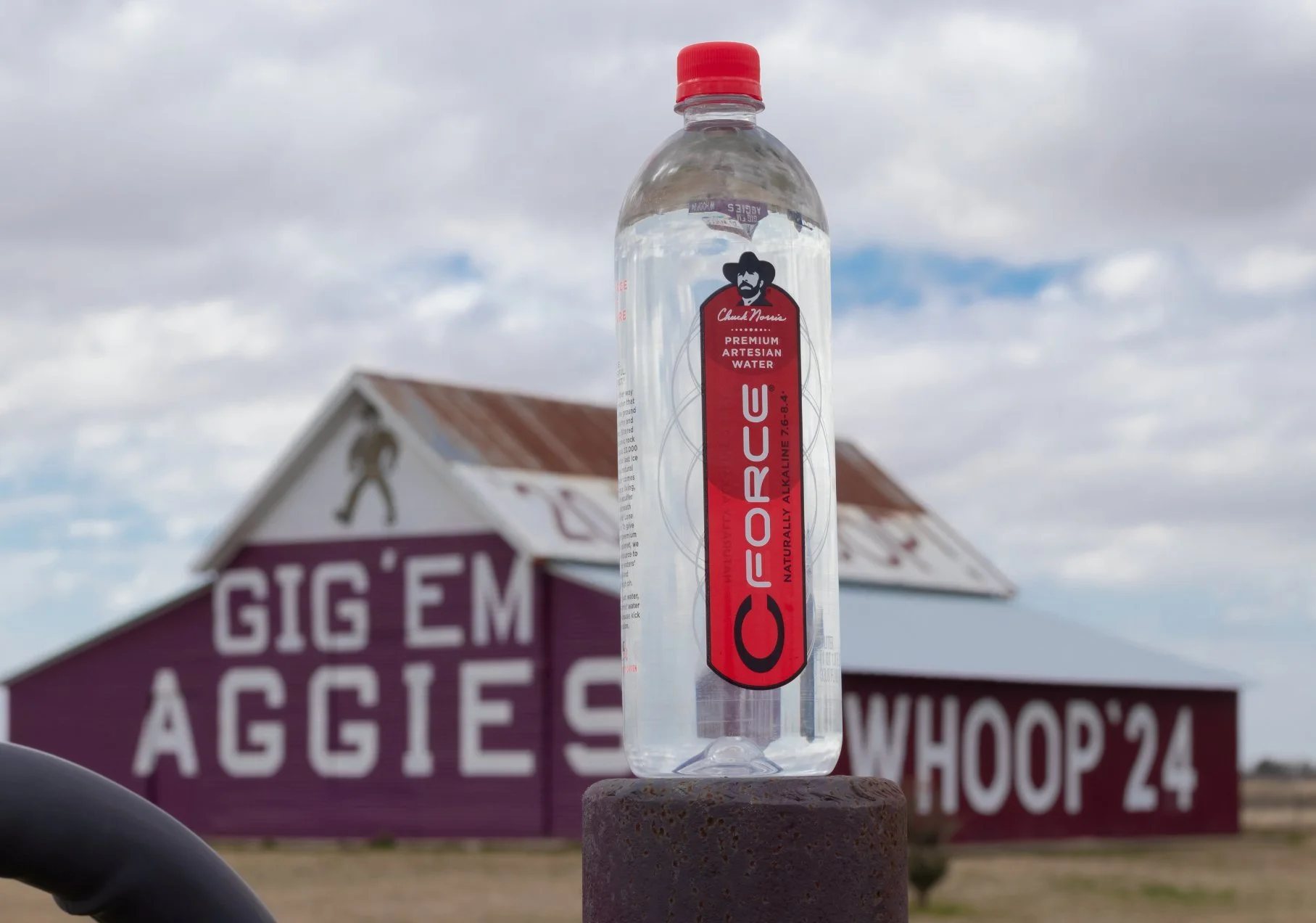 cforce-naturally-alkaline-water-case-23oz700ml-12-pack-903765 (1).jpg