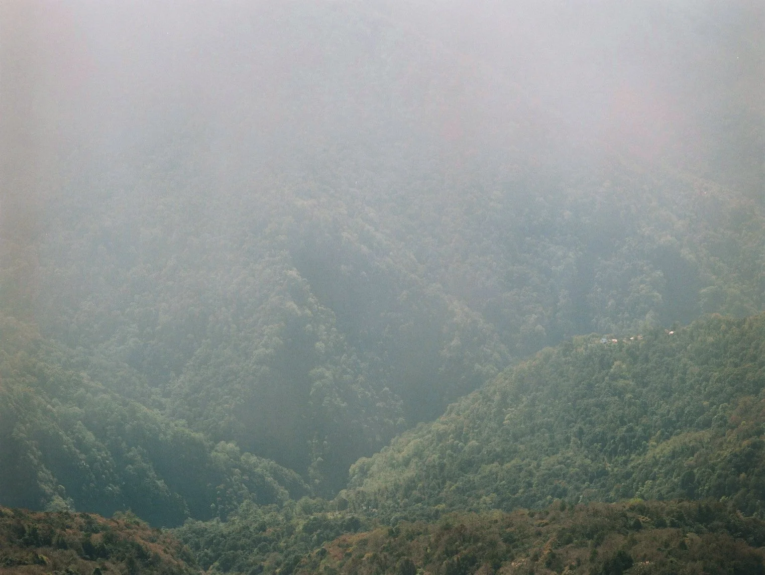 000006 のコピー.jpg