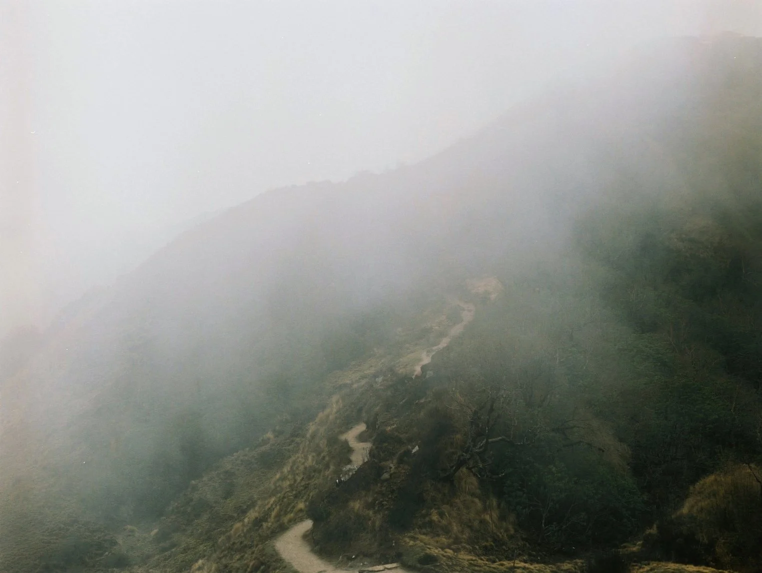 000007 のコピー.jpg