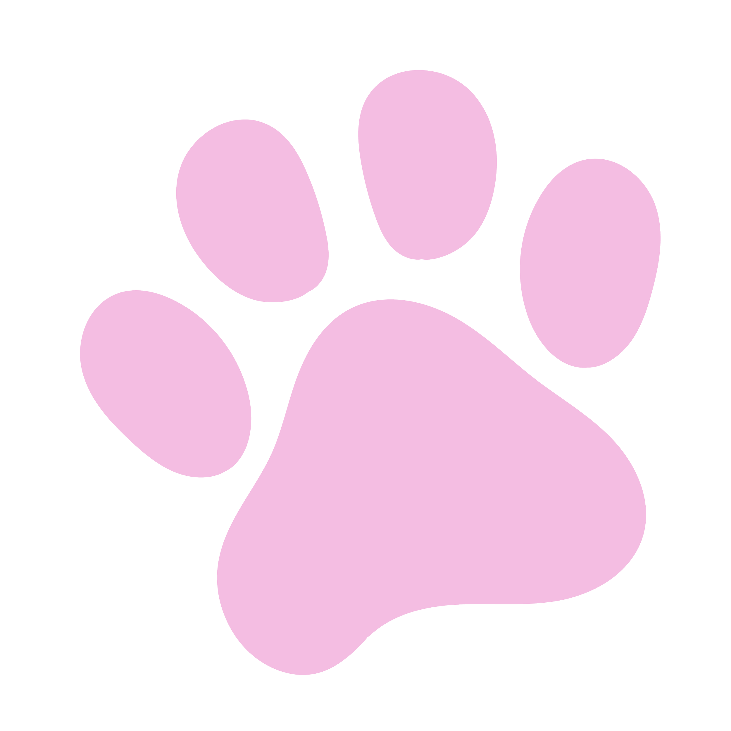 Stylized pink paw print illustration with a black background.