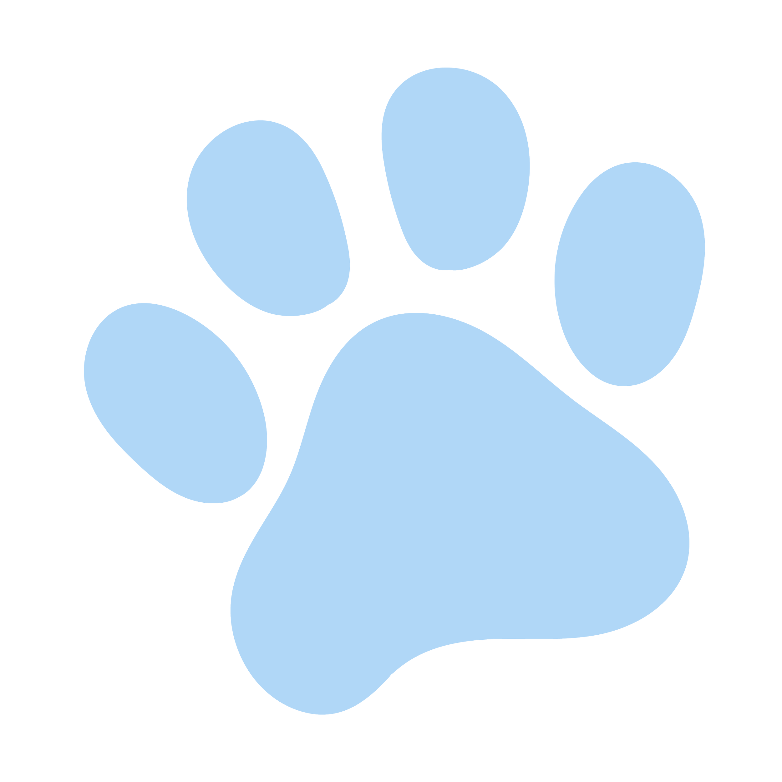 Illustration of a paw print