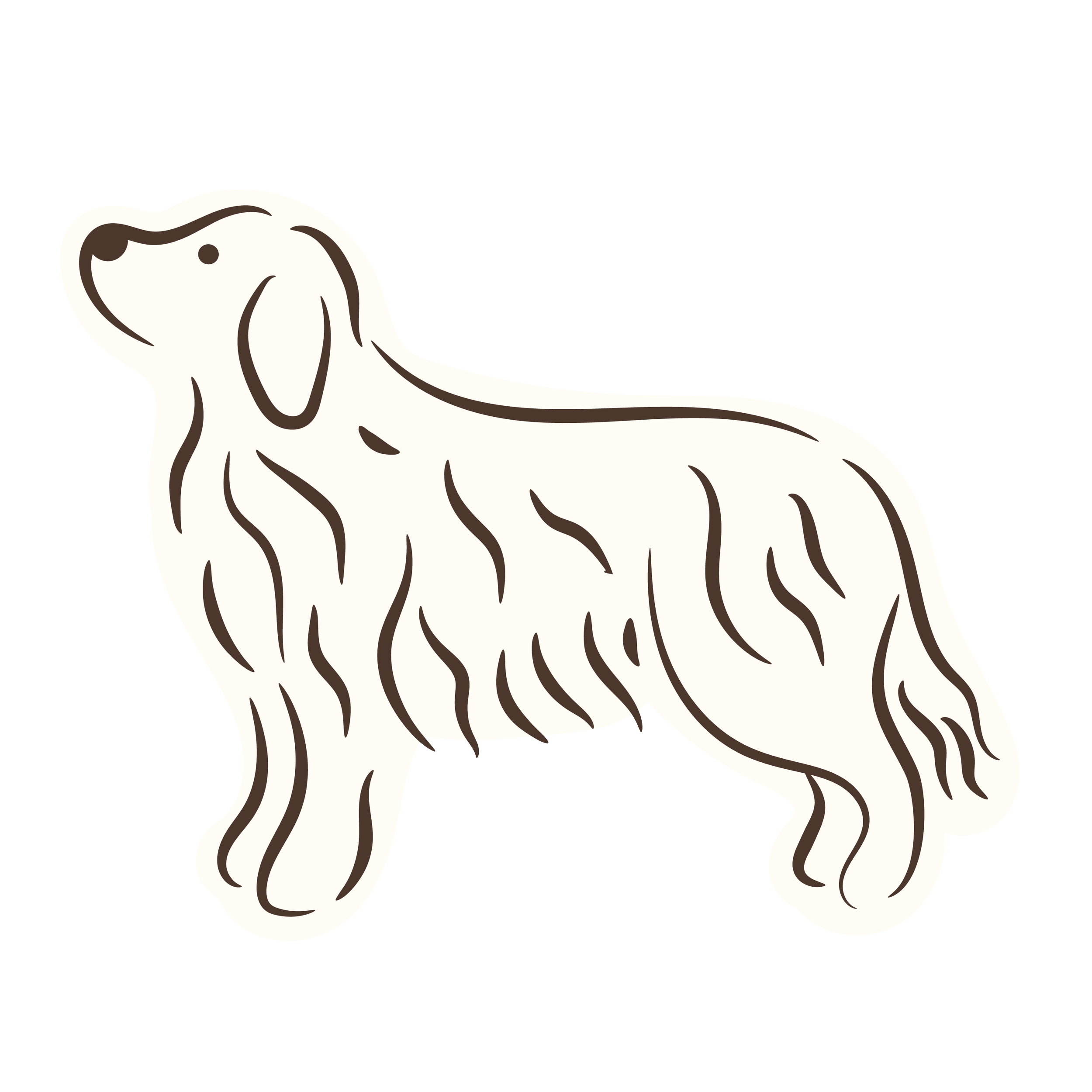 Illustration of a dog with floppy ears and long fur.