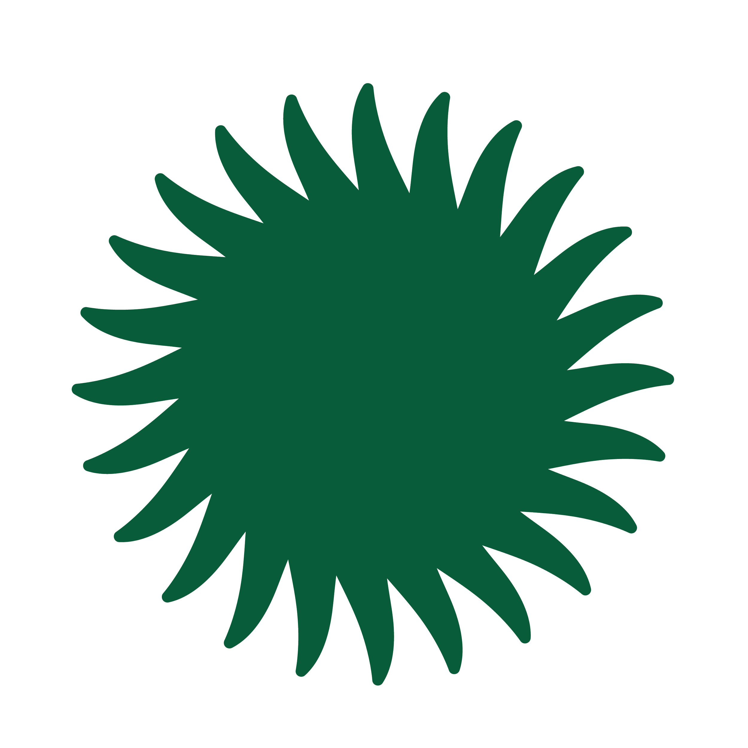 A large, dark green, stylized leaf with multiple elongated, pointed segments.