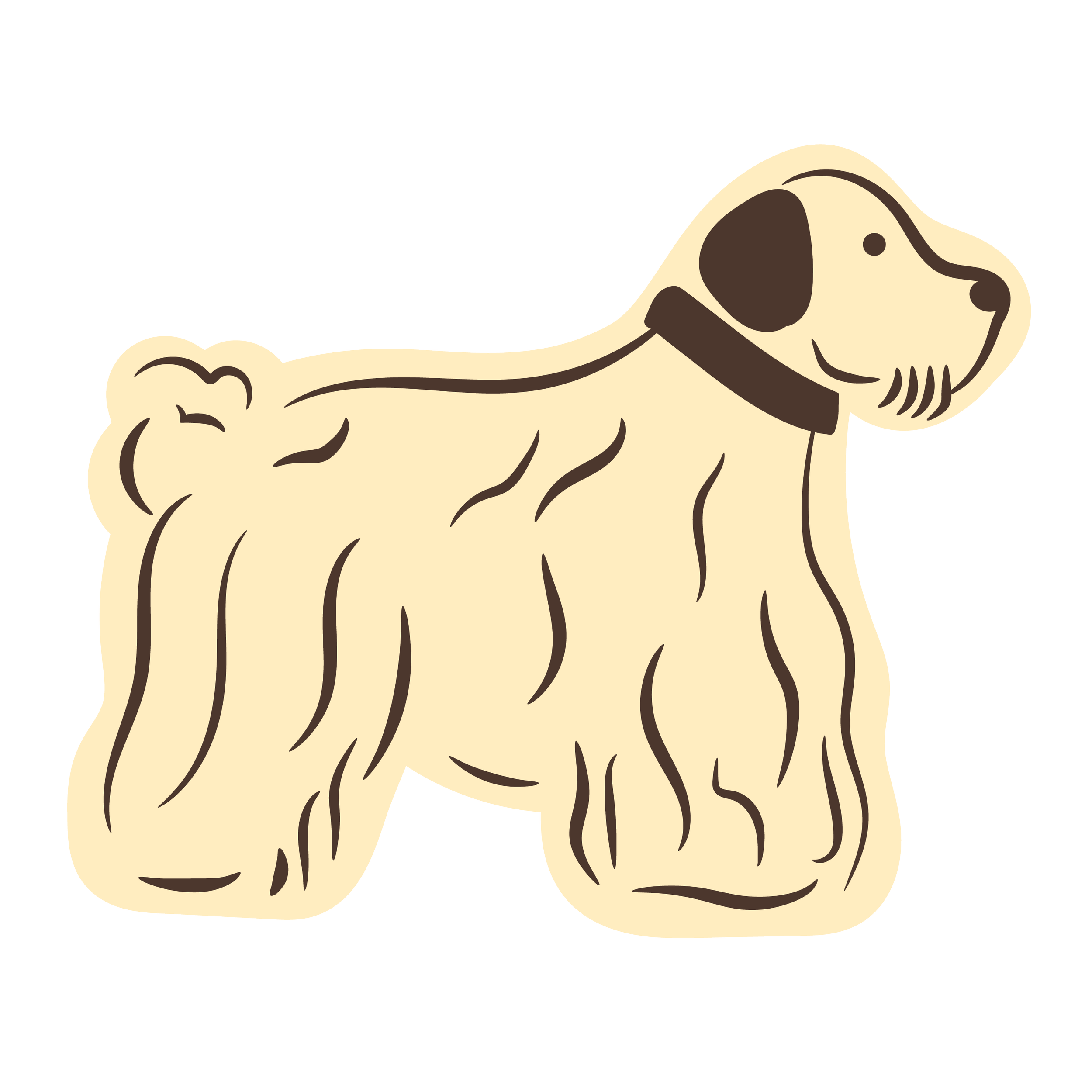 Illustration of a dog with a beige coat, floppy ears, and tail, wearing a brown collar, facing to the right.