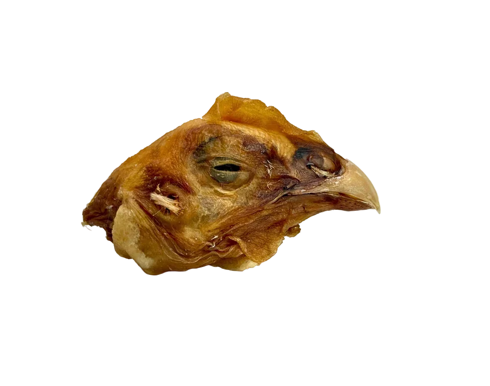 dehydratedchickenhead.png.webp